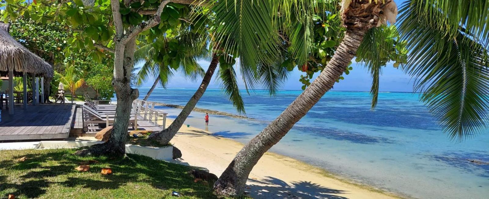 Moorea Island Beach Hotel Ngoại thất bức ảnh